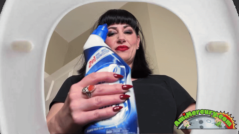 www.amimercury.com - Roommate Toilet Transformation thumbnail